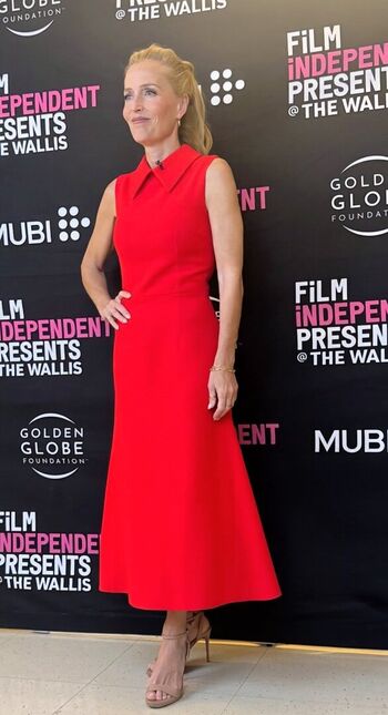 Full leaked Gillian anderson private photo