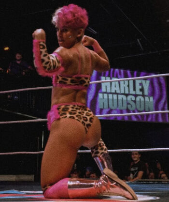 Harley Hudson