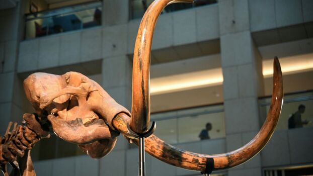 Full leaked Henni waage private onlyfans photo