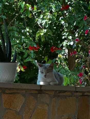 Full leaked Hilda kertalli private onlyfans photo