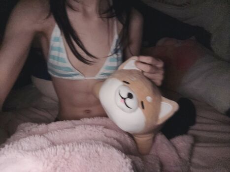 Himekaiju