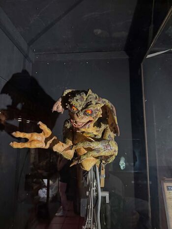 Full leaked Hirai momo private onlyfans photo