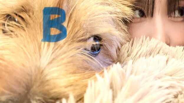 Full leaked Hirai momo private photo