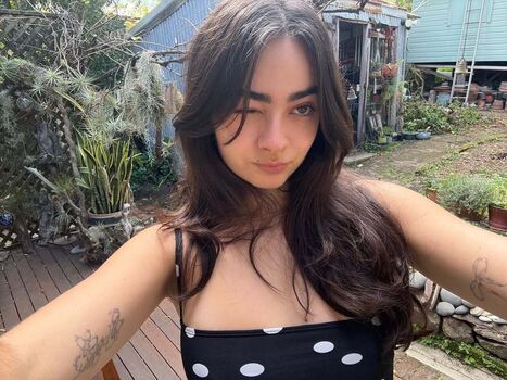 Inas Elashiry