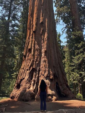 Full leaked Its sri private onlyfans photo