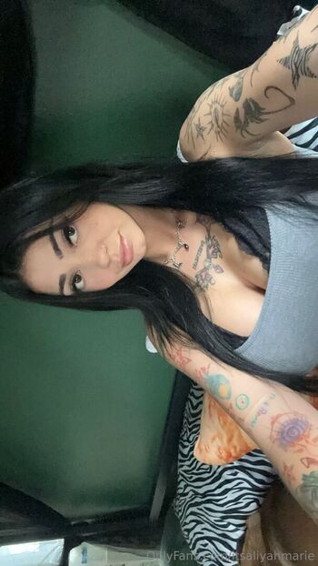 Full leaked Itsaliyahmarie private photo