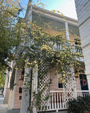 Full leaked Itscarlyjane  page private onlyfans photo