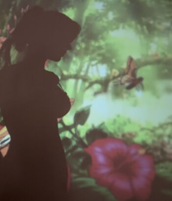 Full leaked Jillynozomi page private onlyfans photo