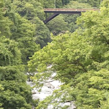 Full leaked Kamiki rei page private onlyfans photo