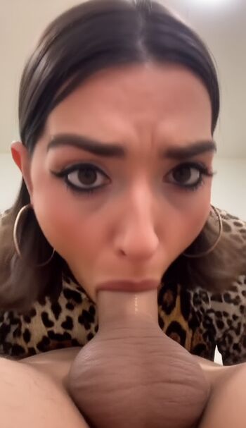 katelavrentios