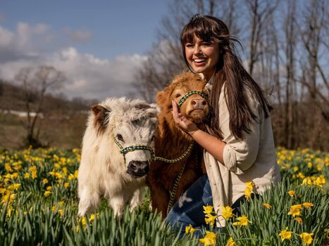 Full leaked Katievanslyke private onlyfans photo