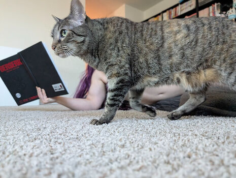 Full leaked Kitty bit games page private photo