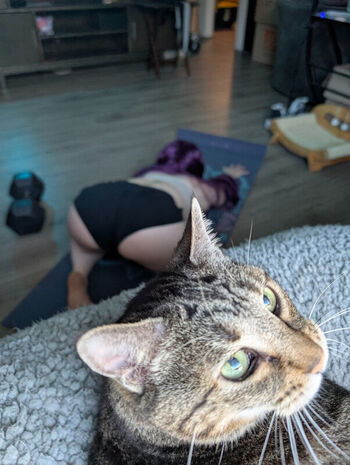 Full leaked Kitty bit games private photo