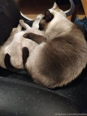 Full leaked Kittykathee page private photo