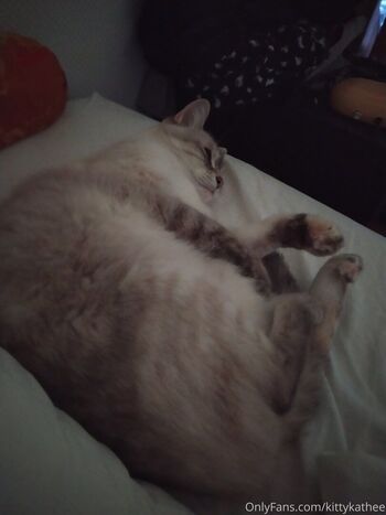 Full leaked Kittykathee private photo