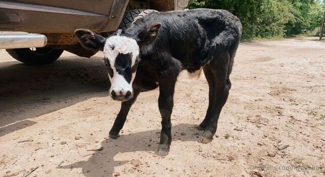 Full leaked Kyndal rae private photo