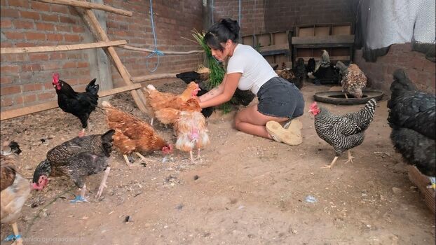 La Criadora De Gallinas