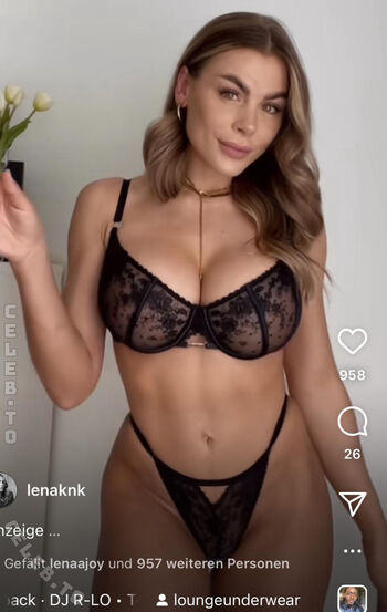 Lenaknk