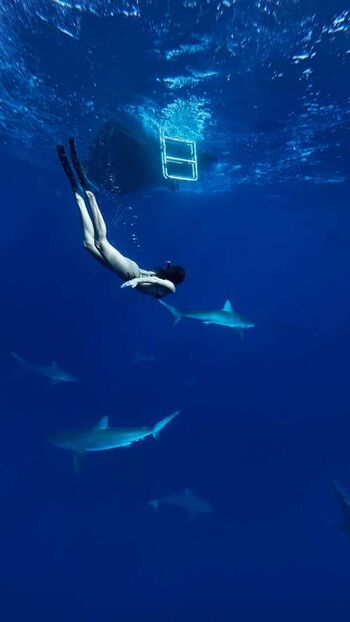 Full leaked Lilychee page private onlyfans photo