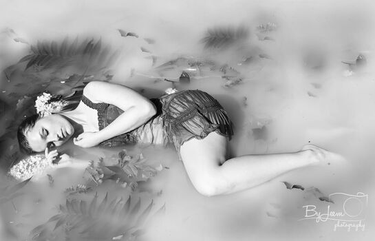 Lonneke Van Der Veen