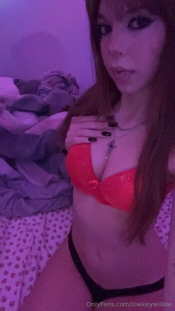 Full leaked Lowkeywillow private photo