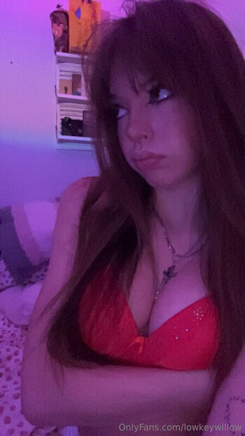Full leaked Lowkeywillow private photo