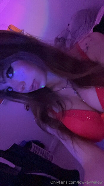 Full leaked Lowkeywillow private photo