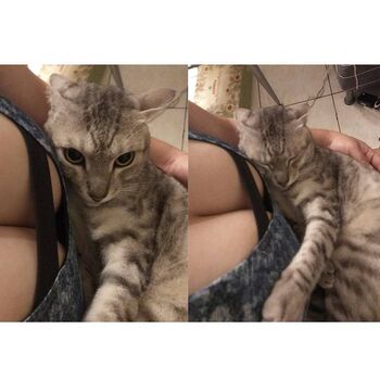 Full leaked Maipei page private onlyfans photo