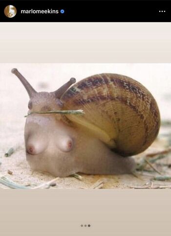 Full leaked Marlo meekins page private onlyfans photo