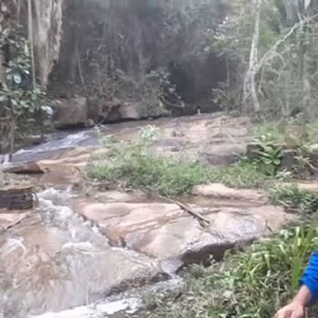 Full leaked Mato verde tapir private onlyfans photo