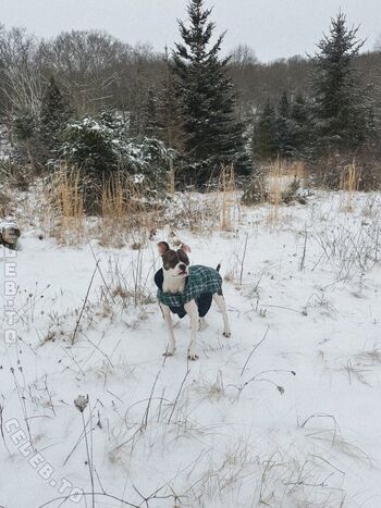 Full leaked Mickey page private onlyfans photo