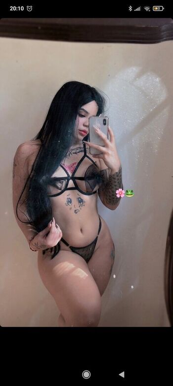 Mlditaconejita