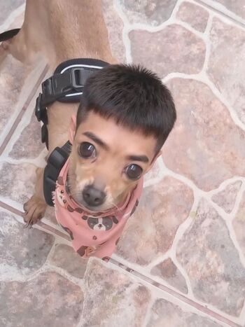 Full leaked Momoiro cosplay private photo
