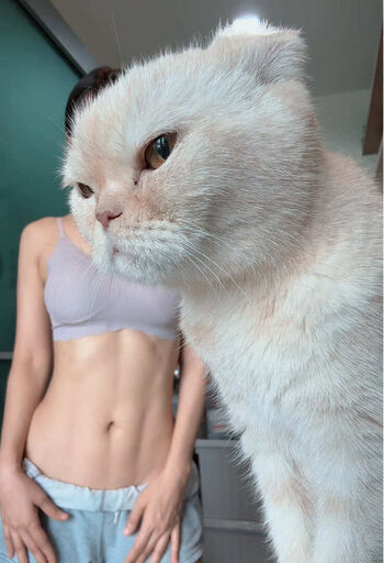 Full leaked Namkuanmitr private photo