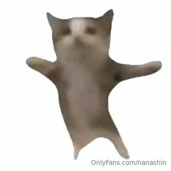 Full leaked Nanashin private photo