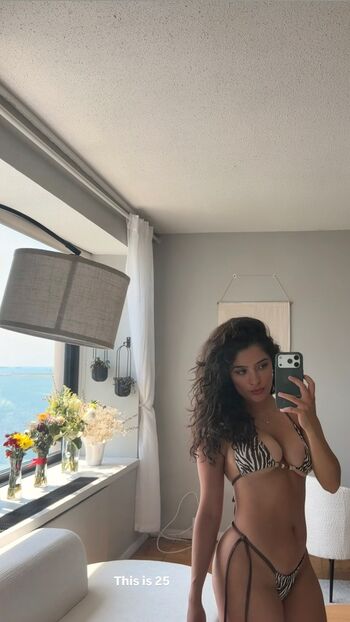 Full leaked Nikki naghavi private photo