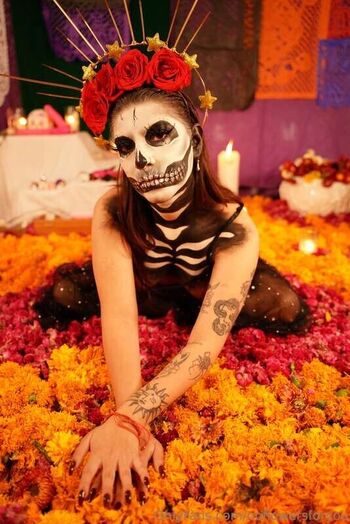 Full leaked Noflowersforyou page private onlyfans photo