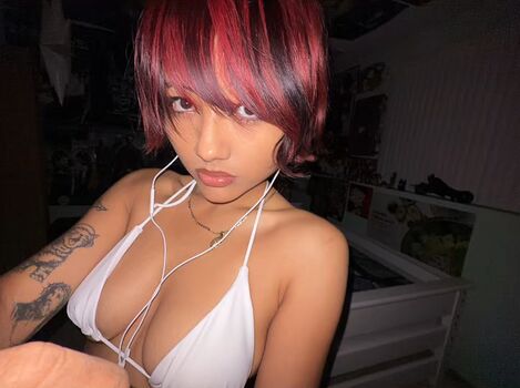 nomamesnico