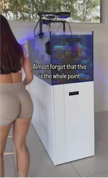 Full leaked Only fish private photo