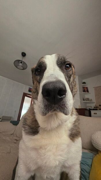 Full leaked Pandarina private onlyfans photo