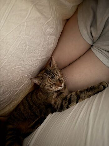 Full leaked Pommy private photo