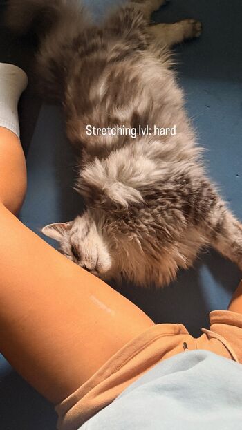 Puckmoonen