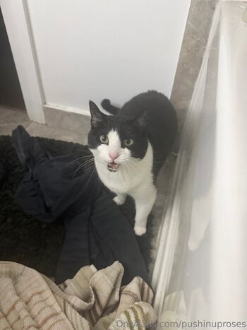 Full leaked Pushinguproses private onlyfans photo