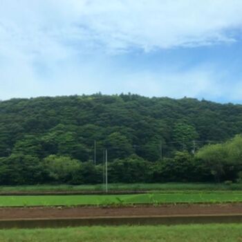 Full leaked Rio fujisawa private photo
