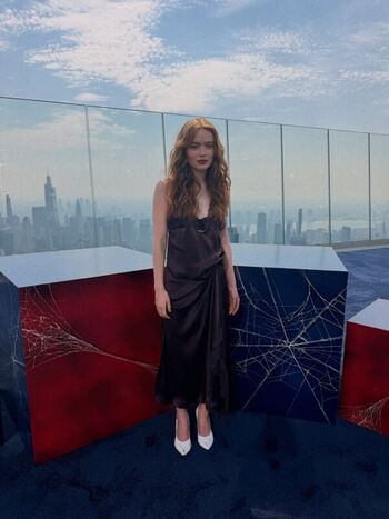 Full leaked Sadie sink page private photo