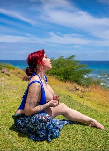 Salice Rose
