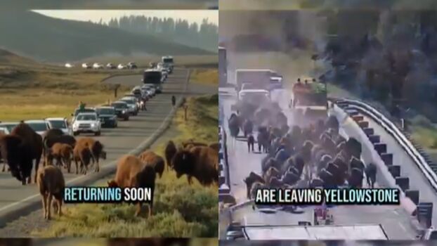 Full leaked Sarah h private onlyfans photo