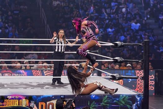 Full leaked Sasha banks page private photo