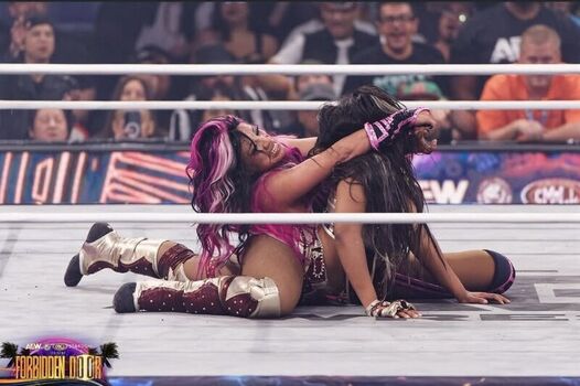 Full leaked Sasha banks page private photo