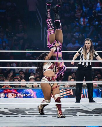 Full leaked Sasha banks page private photo